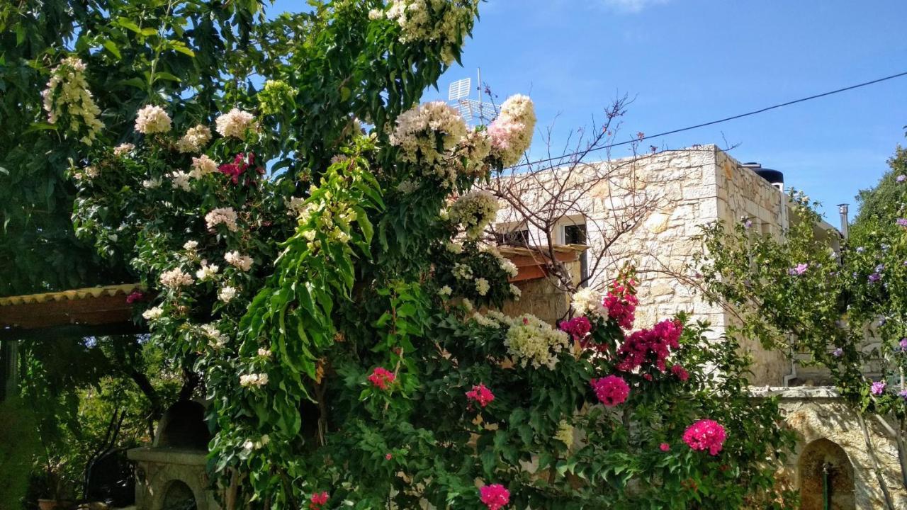 Villa Vera Sívota Exteriör bild